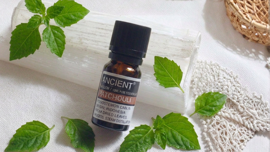 Pure Patchouli essential oil in amber bottle resting on selenite sticks surrounded by fresh patchouli 